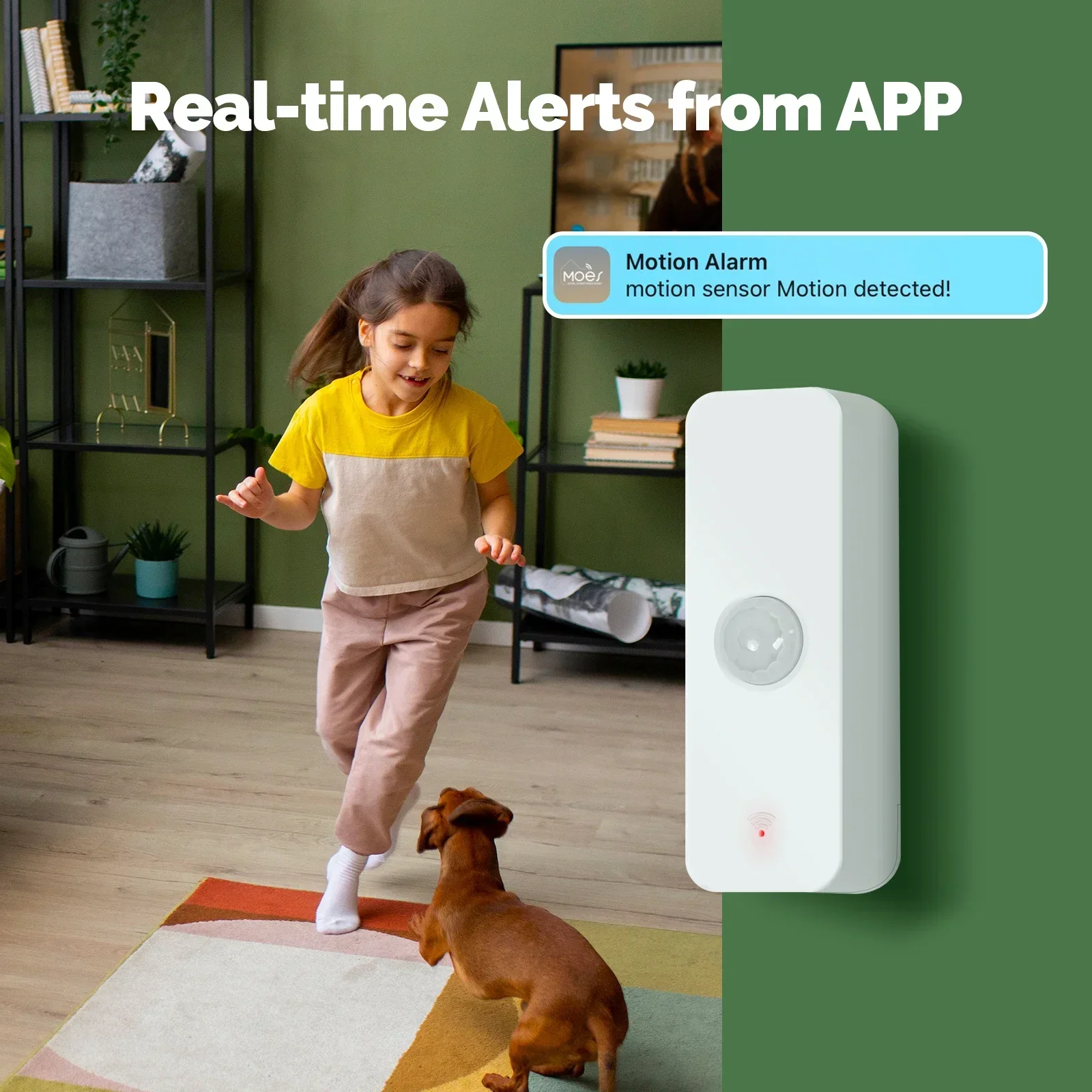 MOES Tuya WiFi/ZigBee Smart PI – Smart Home Moes recenzja i cena