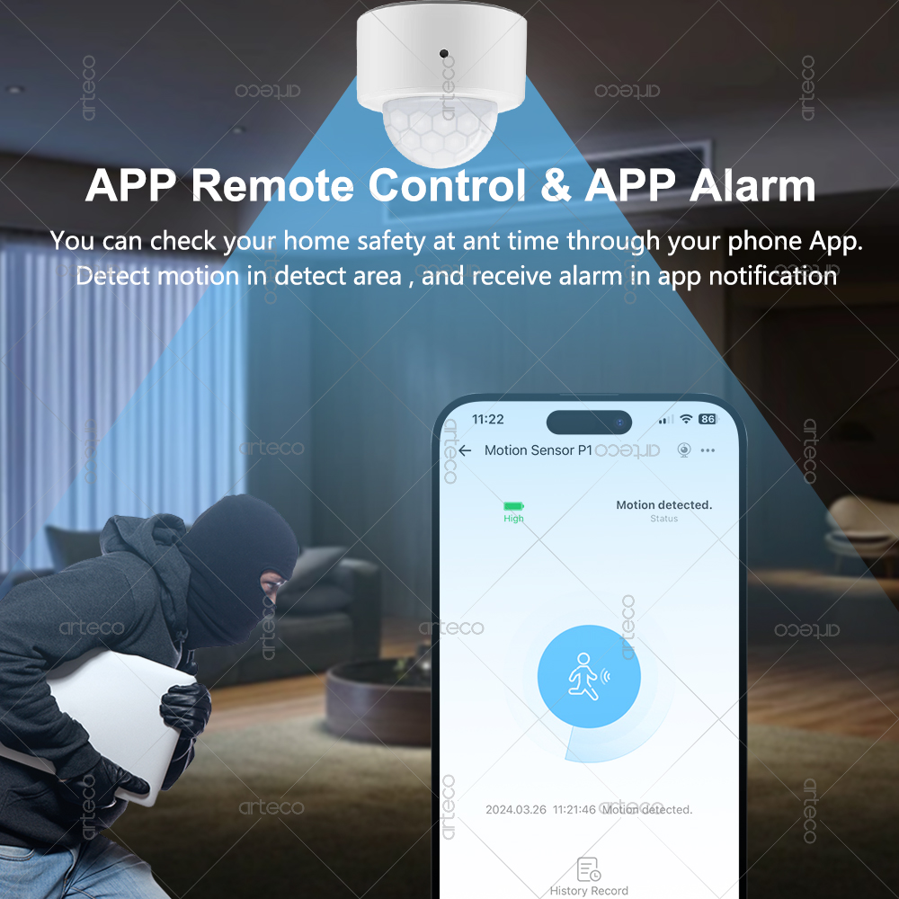 Ewelink Zigbee PIR Motion Sens – Smart Home Google Assistant recenzja i cena