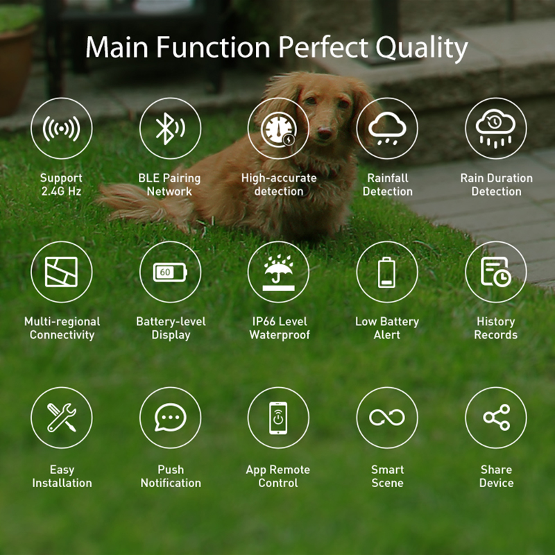 WiFi Rain Sensor Rainfall Dura – Smart Home Green recenzja i cena