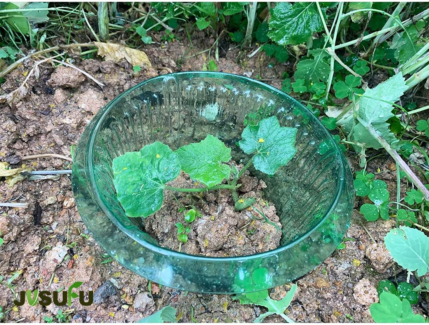 1/30pcs Plants Slug Protection – Smart Home Green recenzja i cena