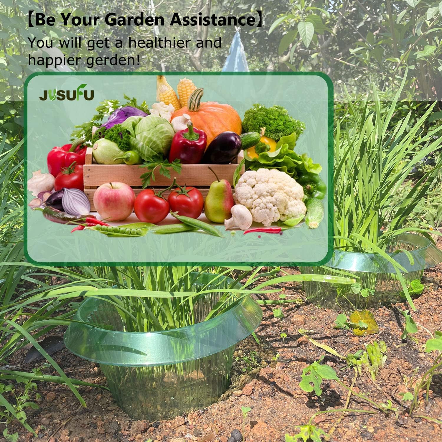 1/30pcs Plants Slug Protection – Smart Home Green recenzja i cena