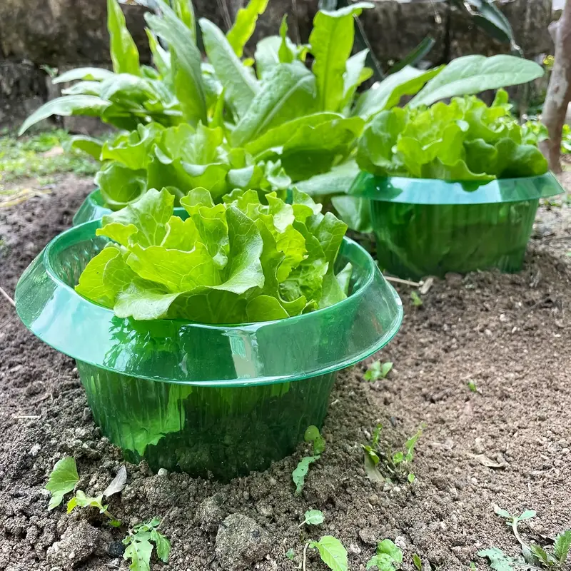 Plants Slug Protection Rings V – Smart Home Green recenzja i cena