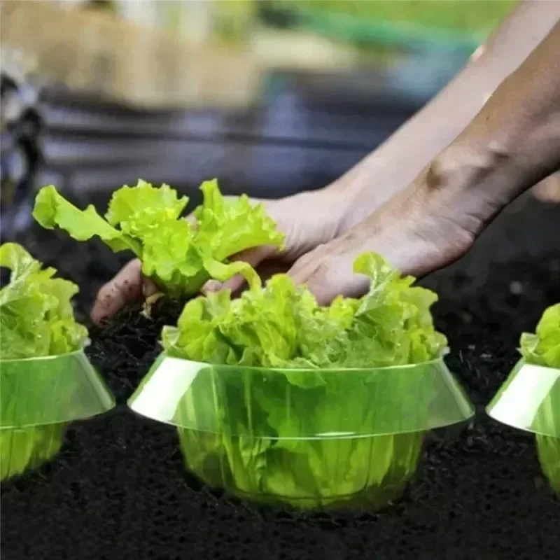Plants Slug Protection Rings V – Smart Home Green recenzja i cena
