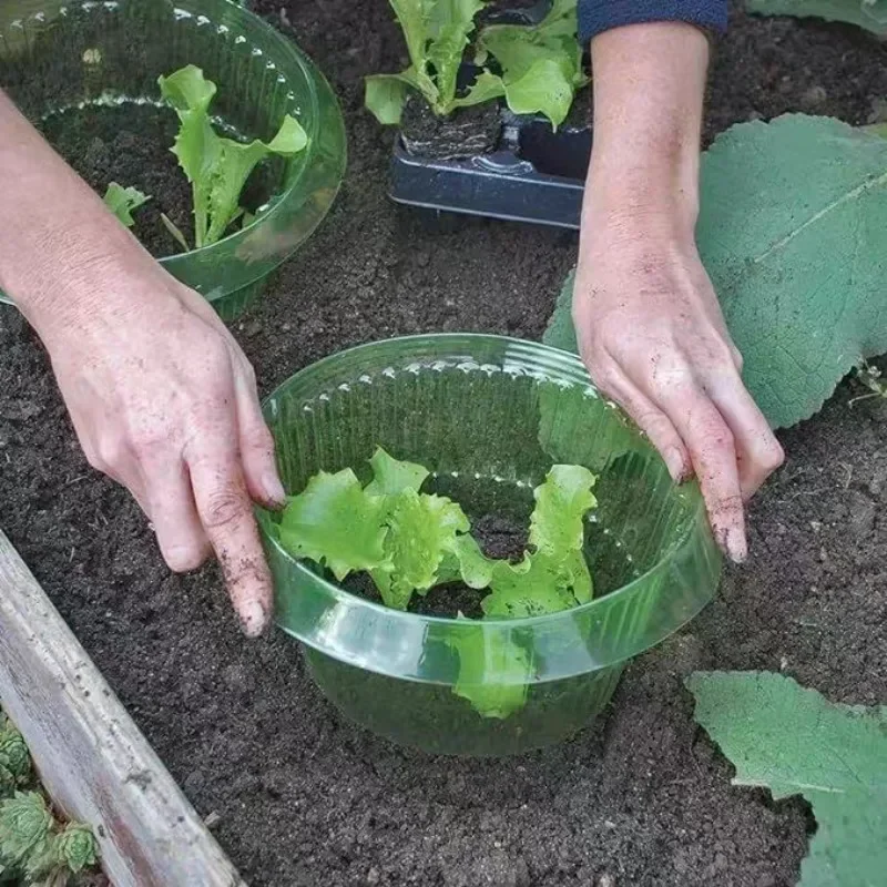Plants Slug Protection Rings V – Smart Home Green recenzja i cena