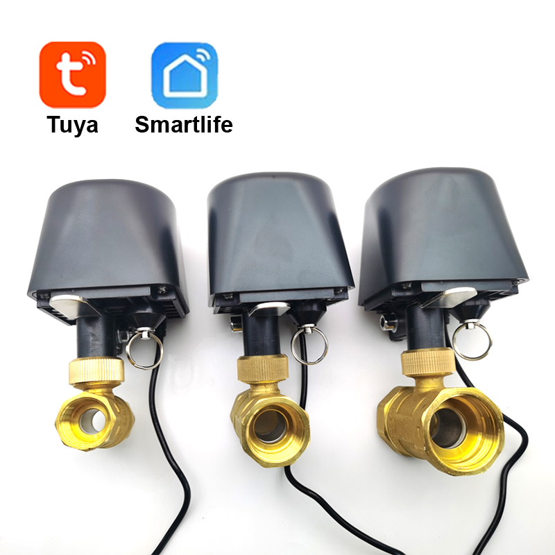 Tuya WiFi or Zigbee Water Valv – Smart Home Green recenzja i cena